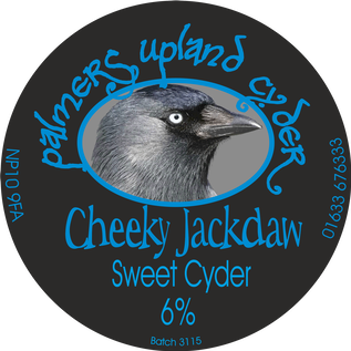 Palmers Uplands Cider - cheeky jackdaw